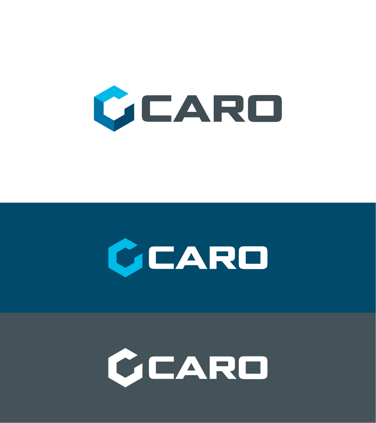 Logo Design by MX-Design for Royal Computers | Design #27771425