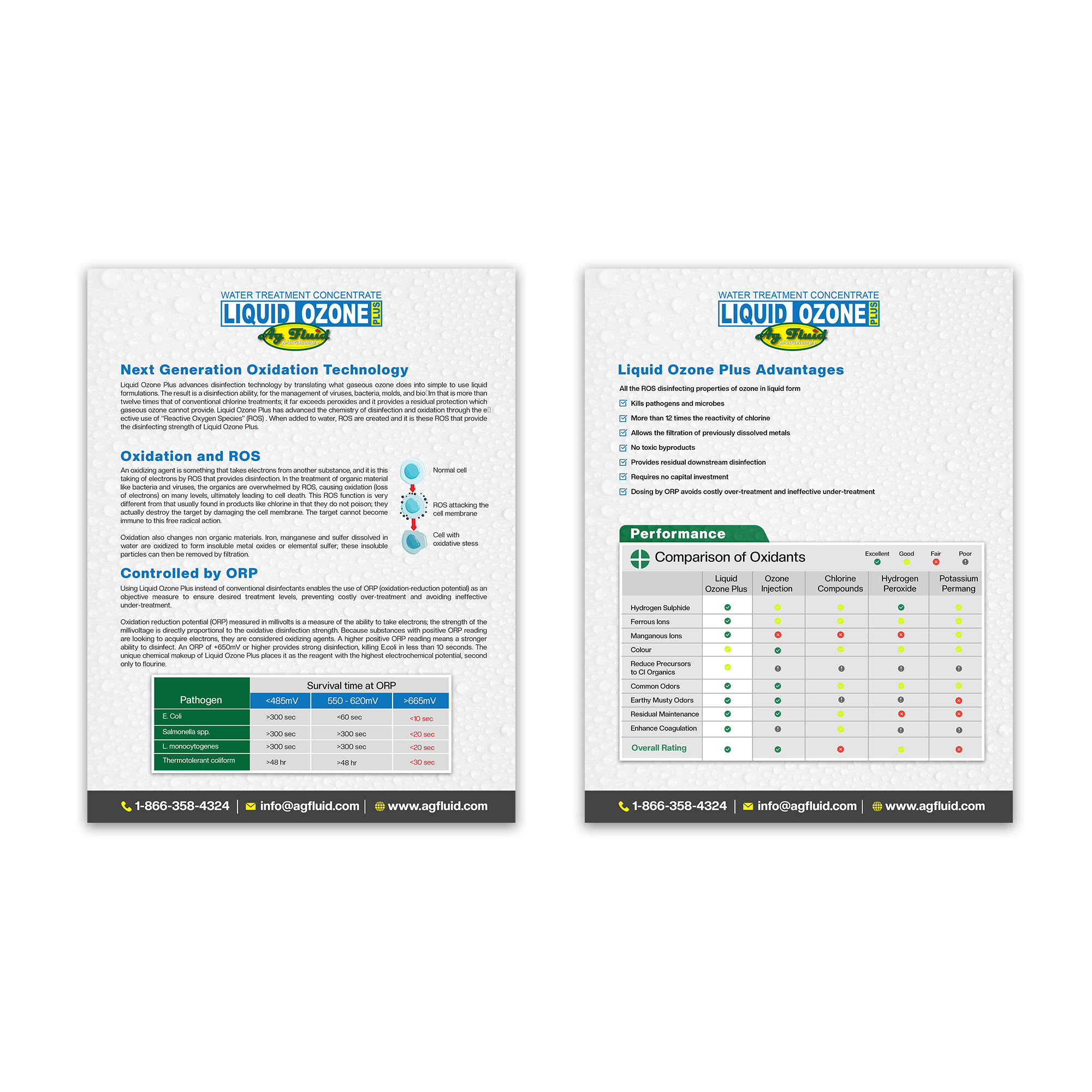 Flyer Design by Design Motion for this project | Design #27756533