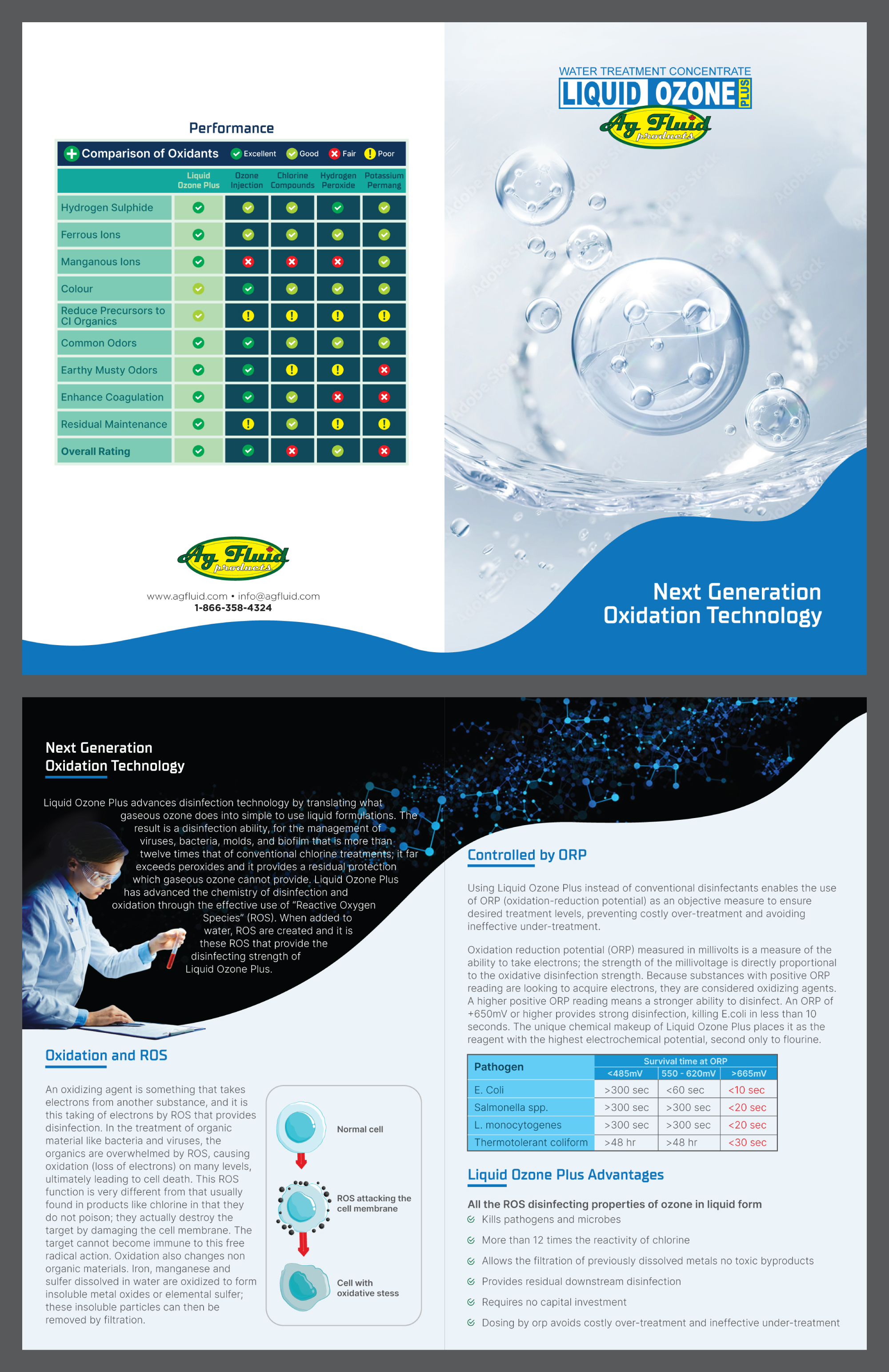 Diseño de Flyer por Sana Creativos para este proyecto | Diseño #27767798