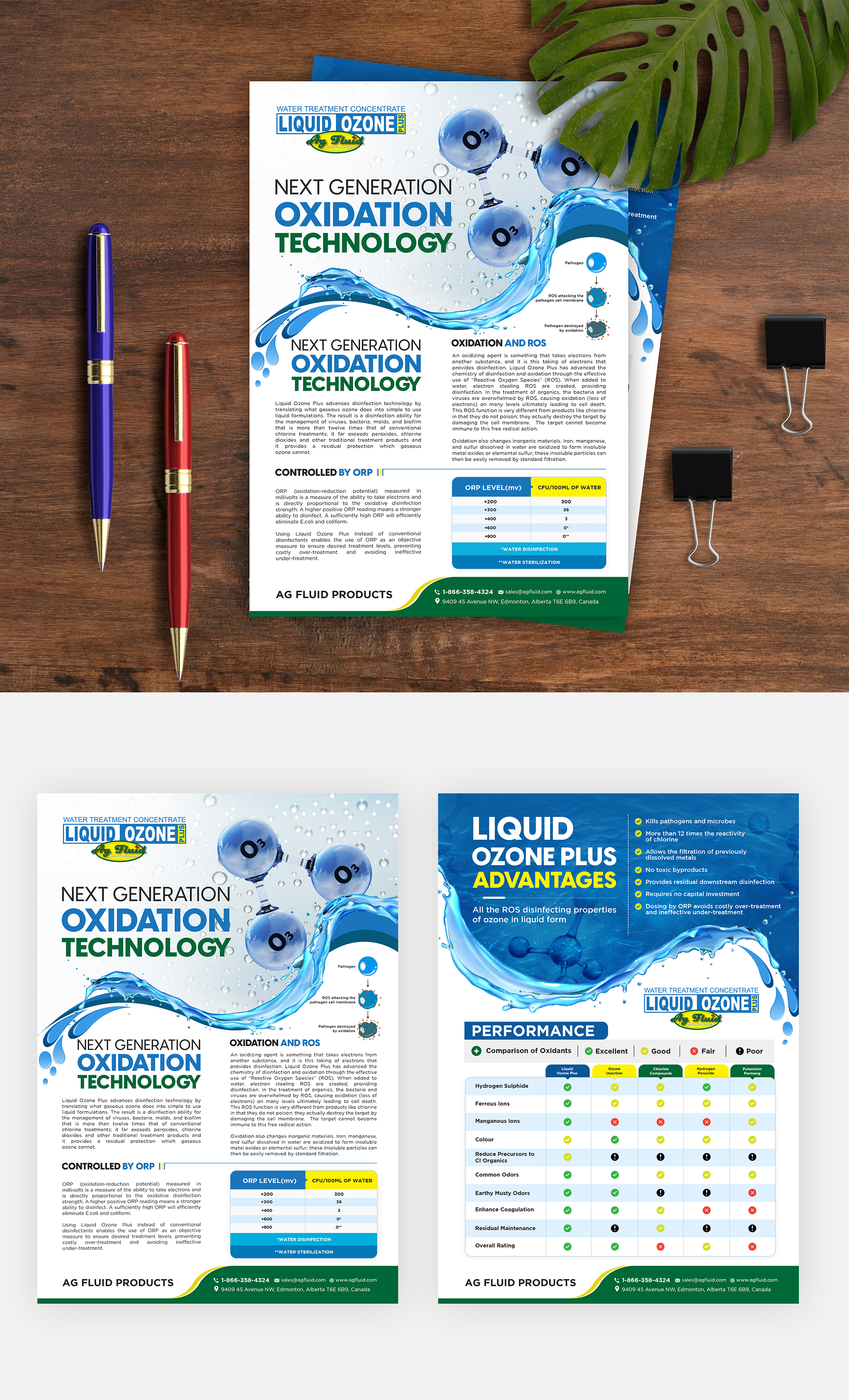 Diseño de Flyer por debdesign para este proyecto | Diseño #27778060