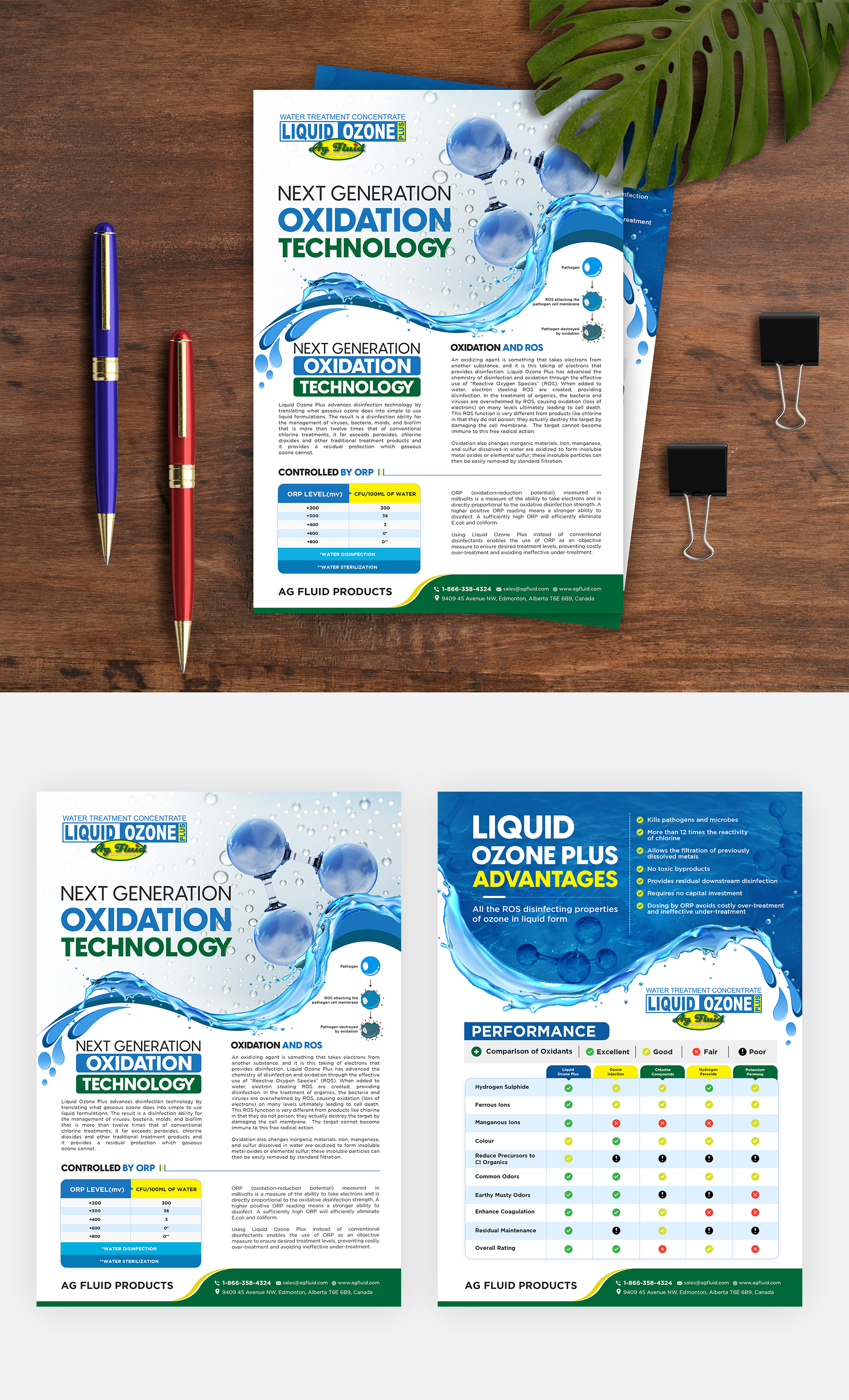 Diseño de Flyer por debdesign para este proyecto | Diseño #27778297