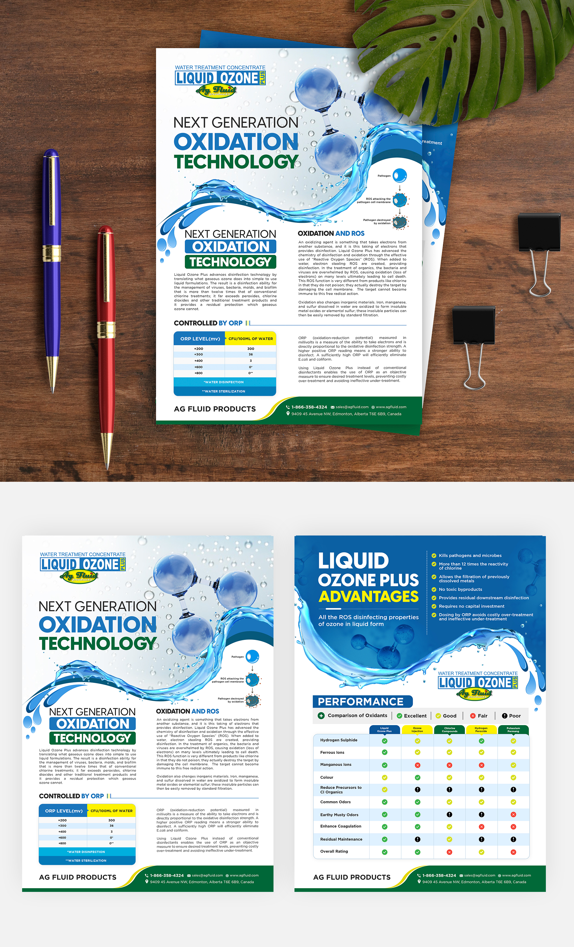 Flyer Design by debdesign for this project | Design #27778496