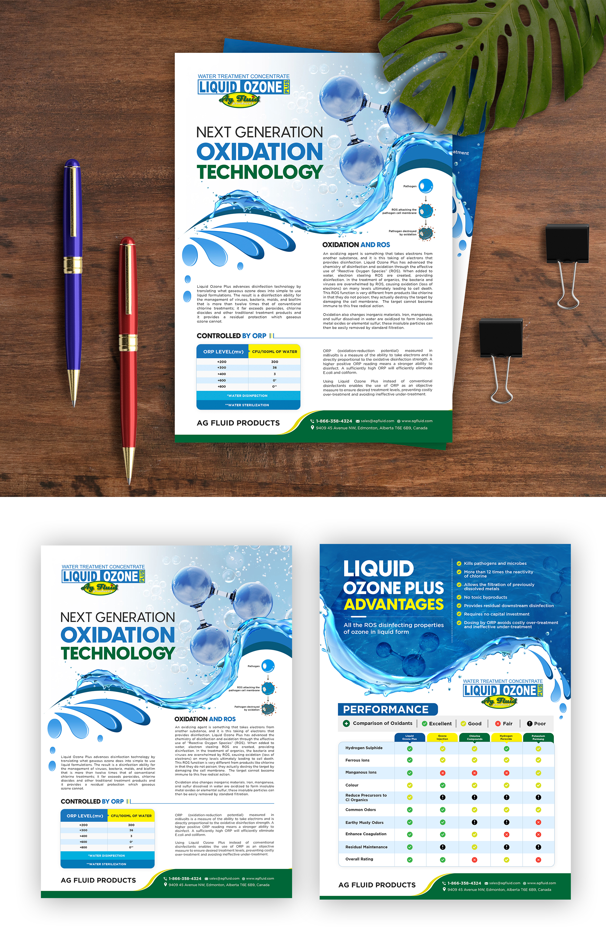 Flyer Design by debdesign for this project | Design #27790000