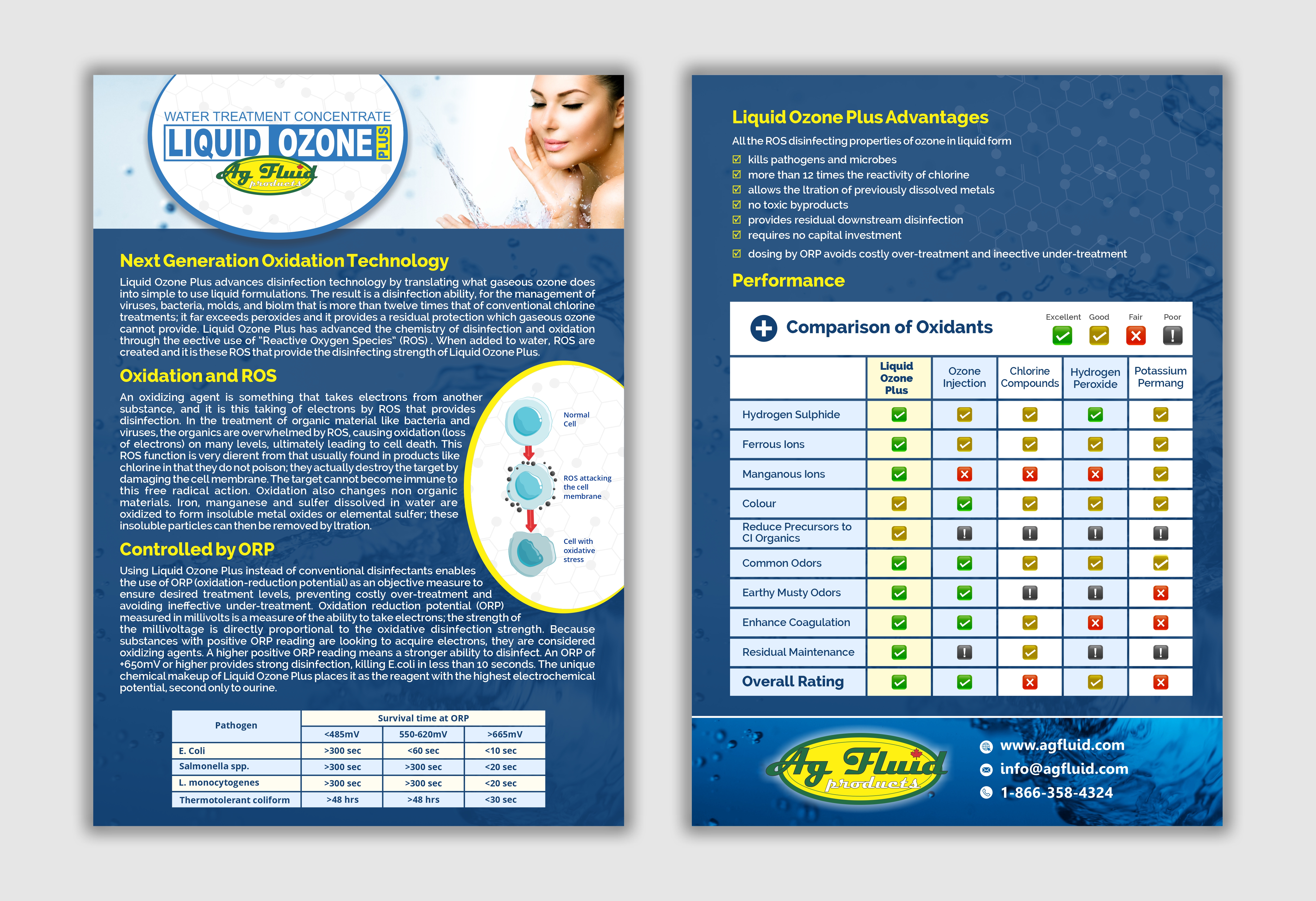 Flyer Design by kgraphics2011 for this project | Design #27761510