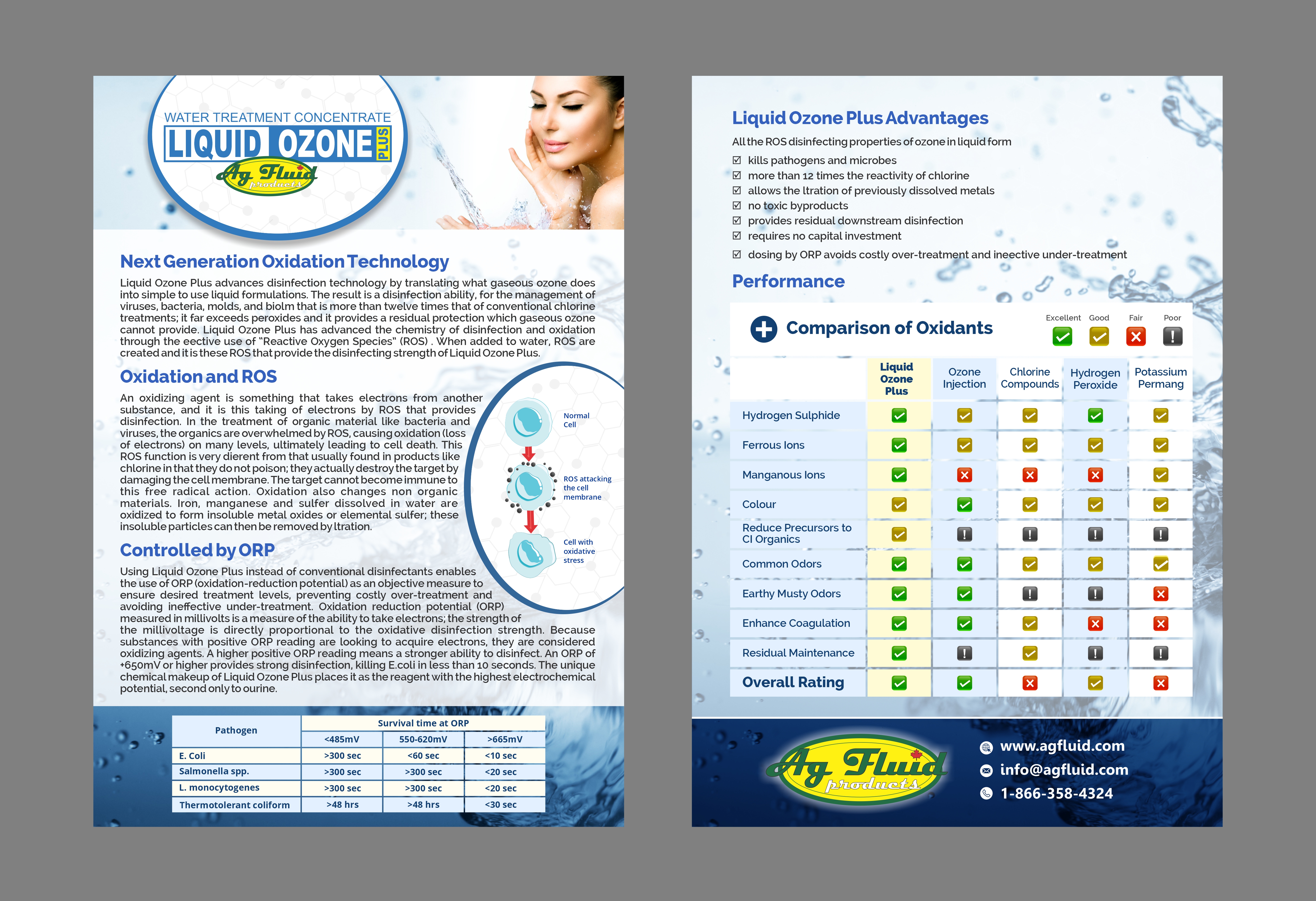 Flyer Design by kgraphics2011 for this project | Design #27761511