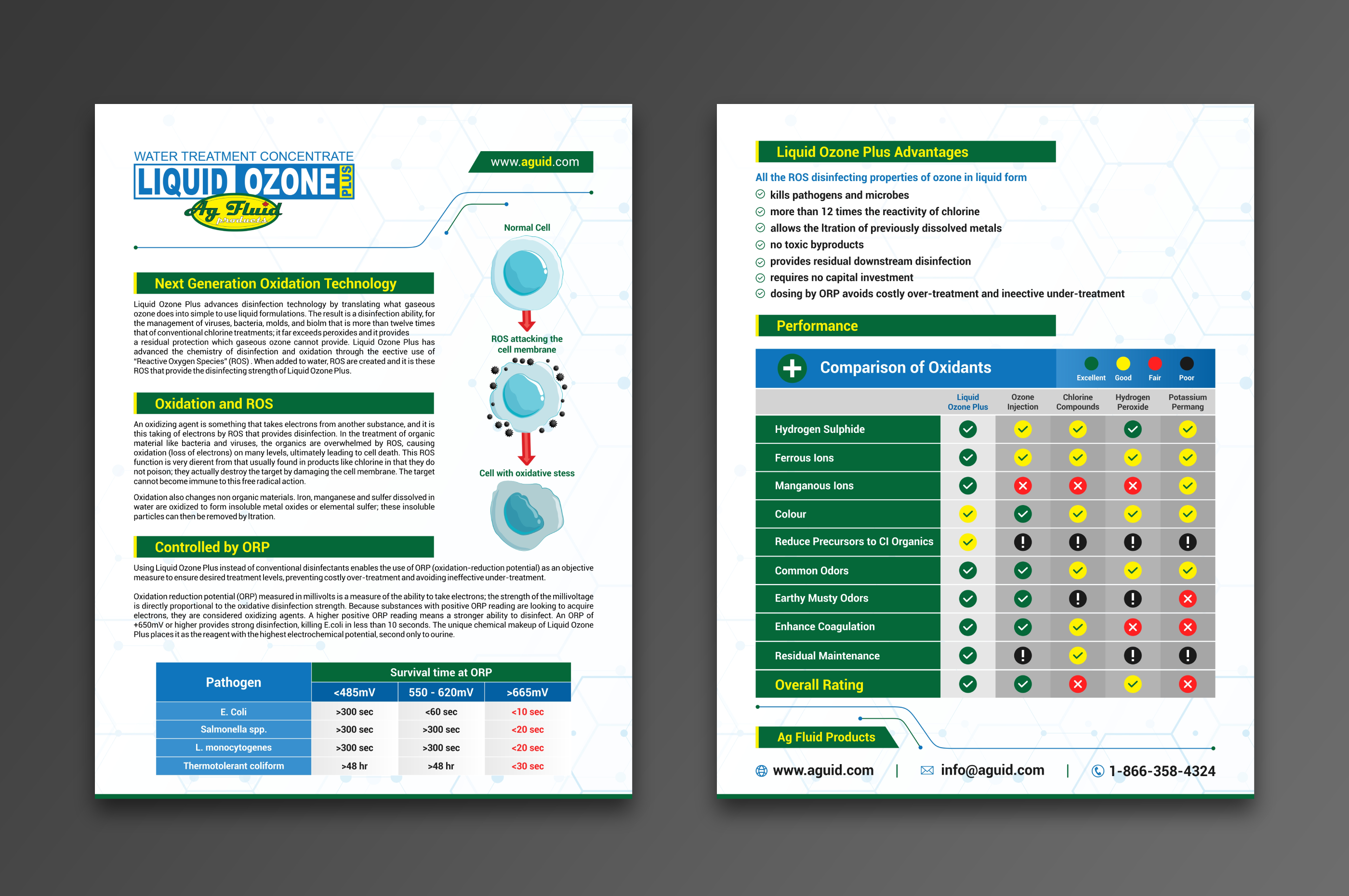 Flyer Design by ecorokerz for this project | Design #27753251