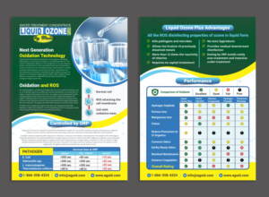 Diseño de Flyer por ecorokerz para este proyecto | Diseño: #27753691