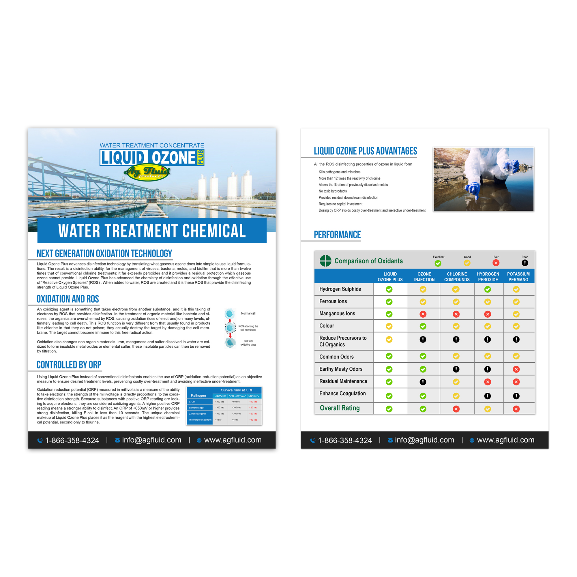 Flyer Design by souldesigner for this project | Design #27758949