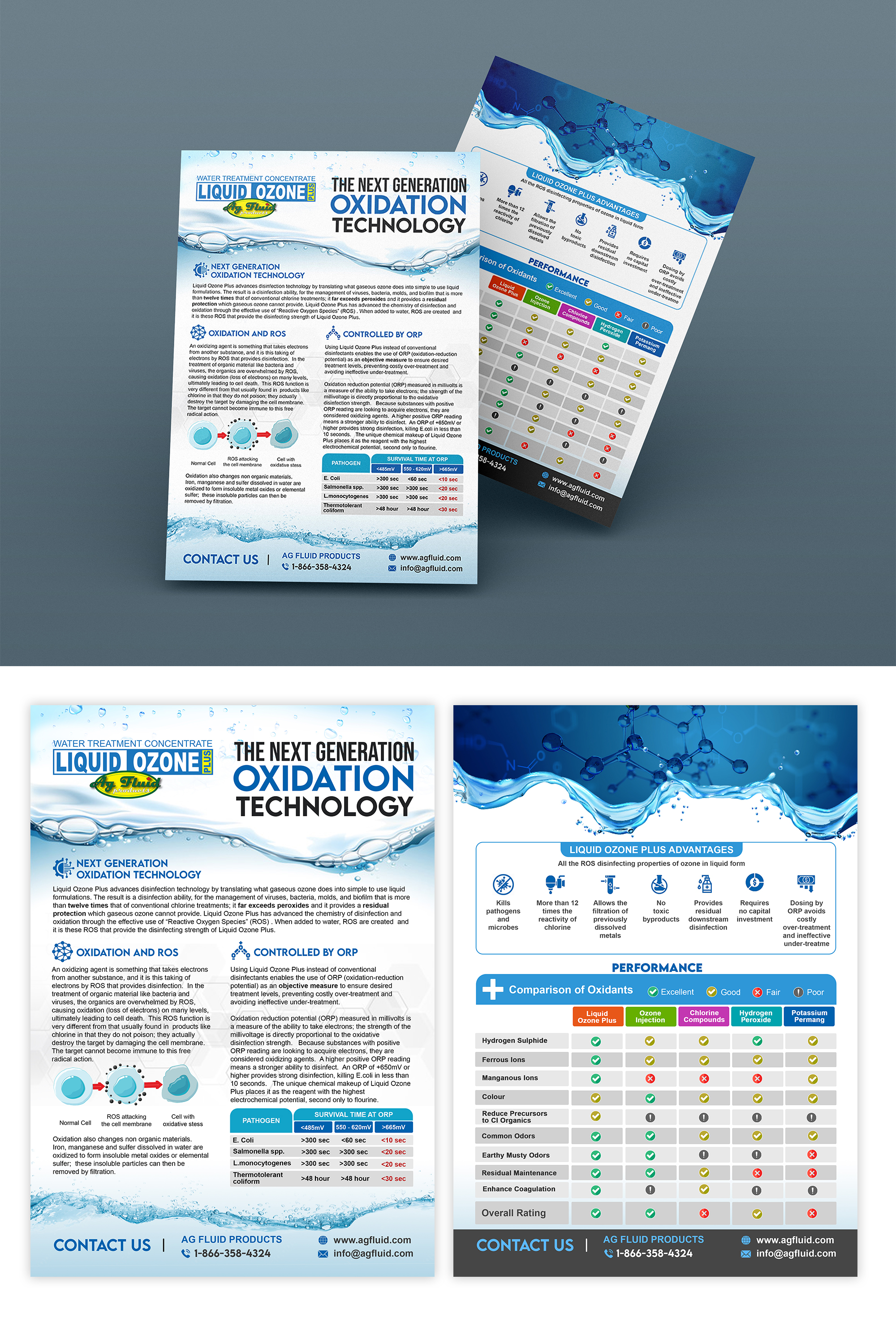 Flyer Design by ZeneFashions for this project | Design #27753016