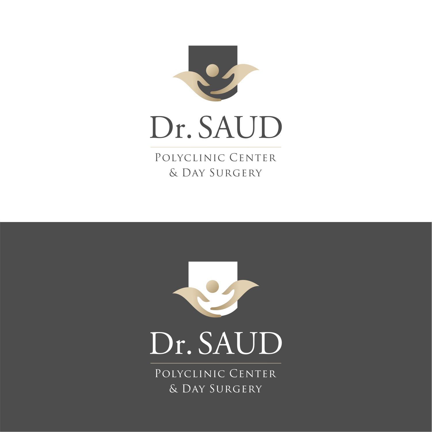 Logo Design by ThiagoB for this project | Design #27757466