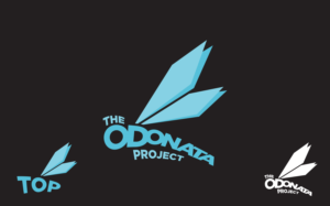 Logo Design by SeeYouOnline