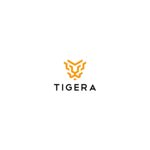 Logo Design by Bingah