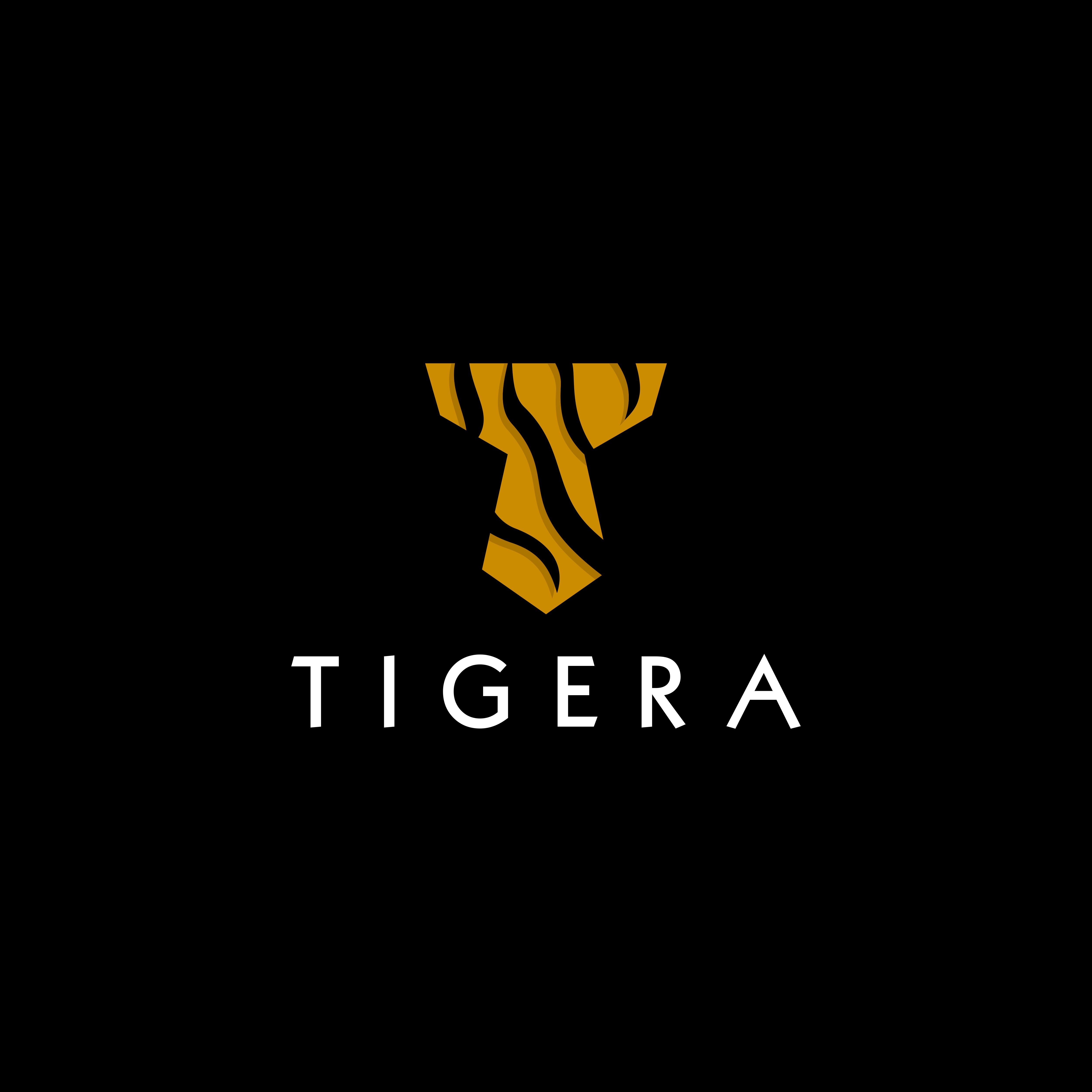 Logo Design by ecko_85 for this project | Design #27761698