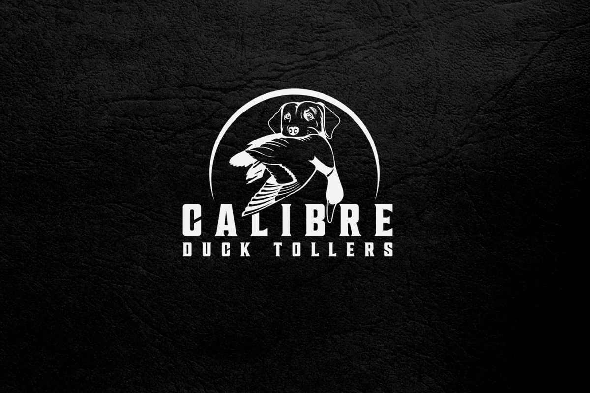 Logo Design by ismail islam for this project | Design #27764534