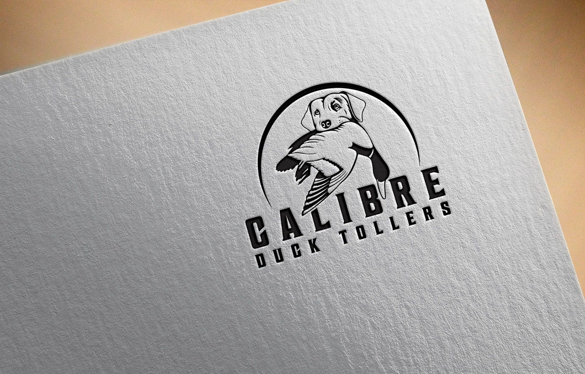 Logo Design by ismail islam for this project | Design #27764535