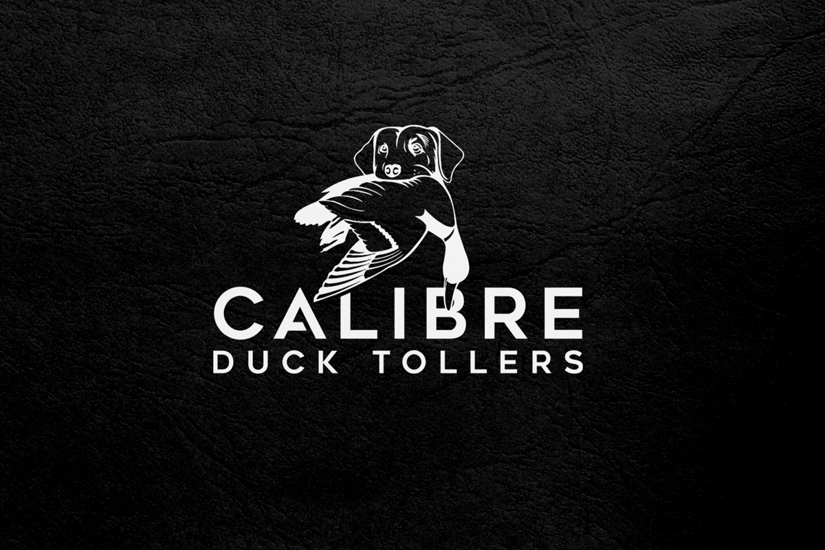 Logo-Design von ismail islam für dieses Projekt | Design #27764587