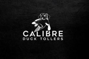 Logo Design by ismail islam for this project | Design: #27764587