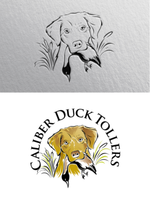 Logo Design by blue eye