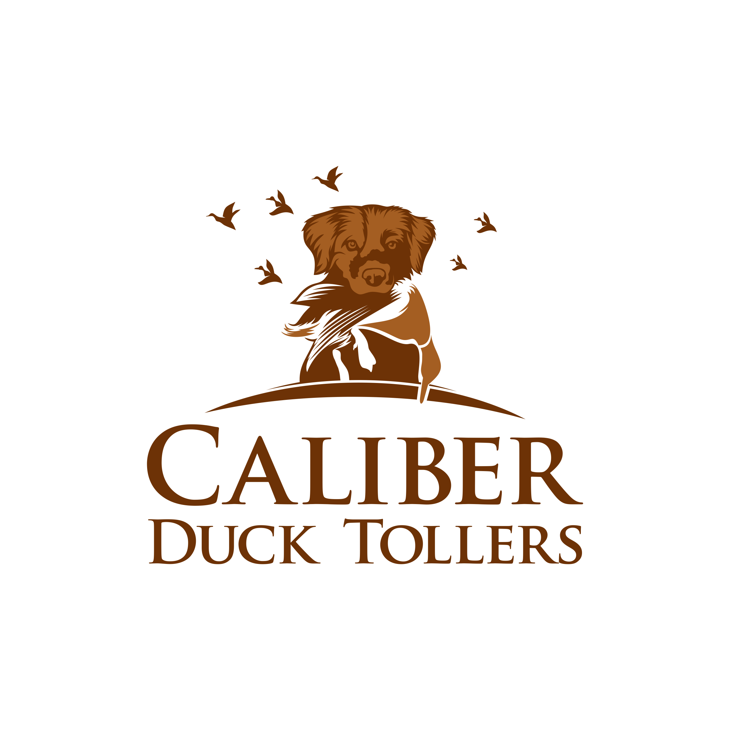 Diseño de Logo por luckdesign para este proyecto | Diseño #27763844