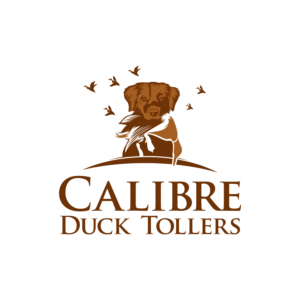 Logo Design by luckdesign for this project | Design: #27765531