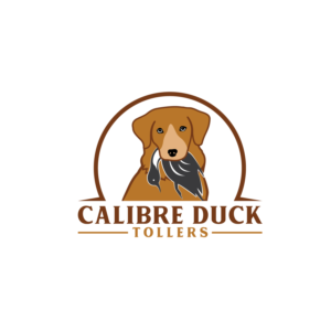 Logo Design by LAXMI DESIGNHUB for this project | Design: #27769612