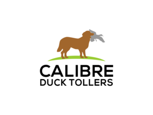 Logo Design by BNdesigner for this project | Design: #27792460