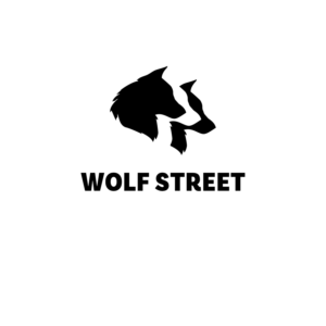 Logo Design by borzoid for this project | Design: #27765532