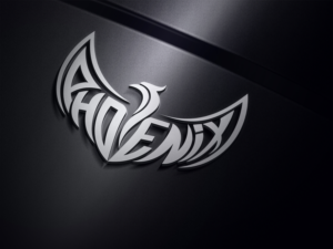 Logo Design by darshan Arts
