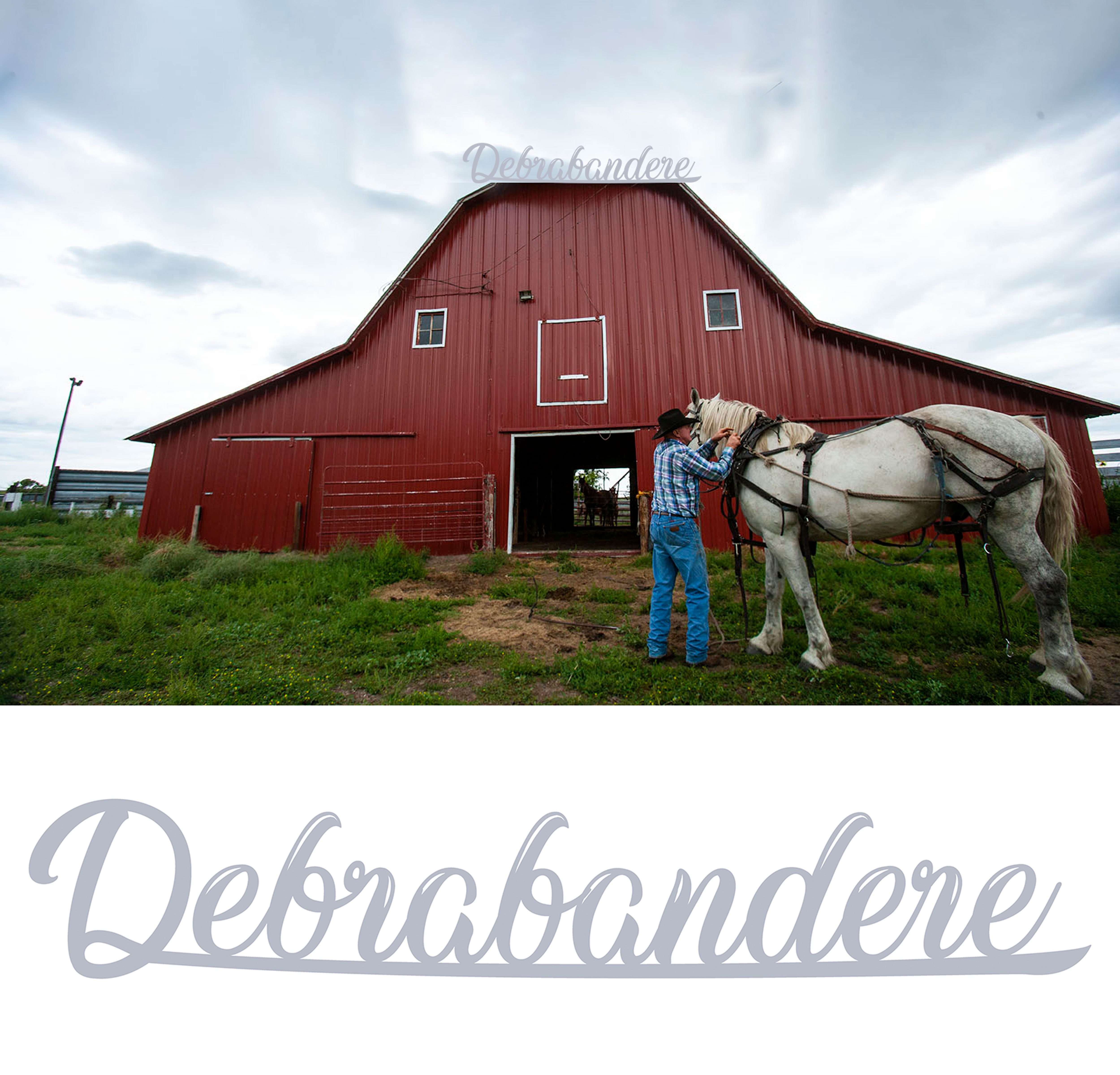 Logo Design by HAMDIYA for this project | Design #27777940