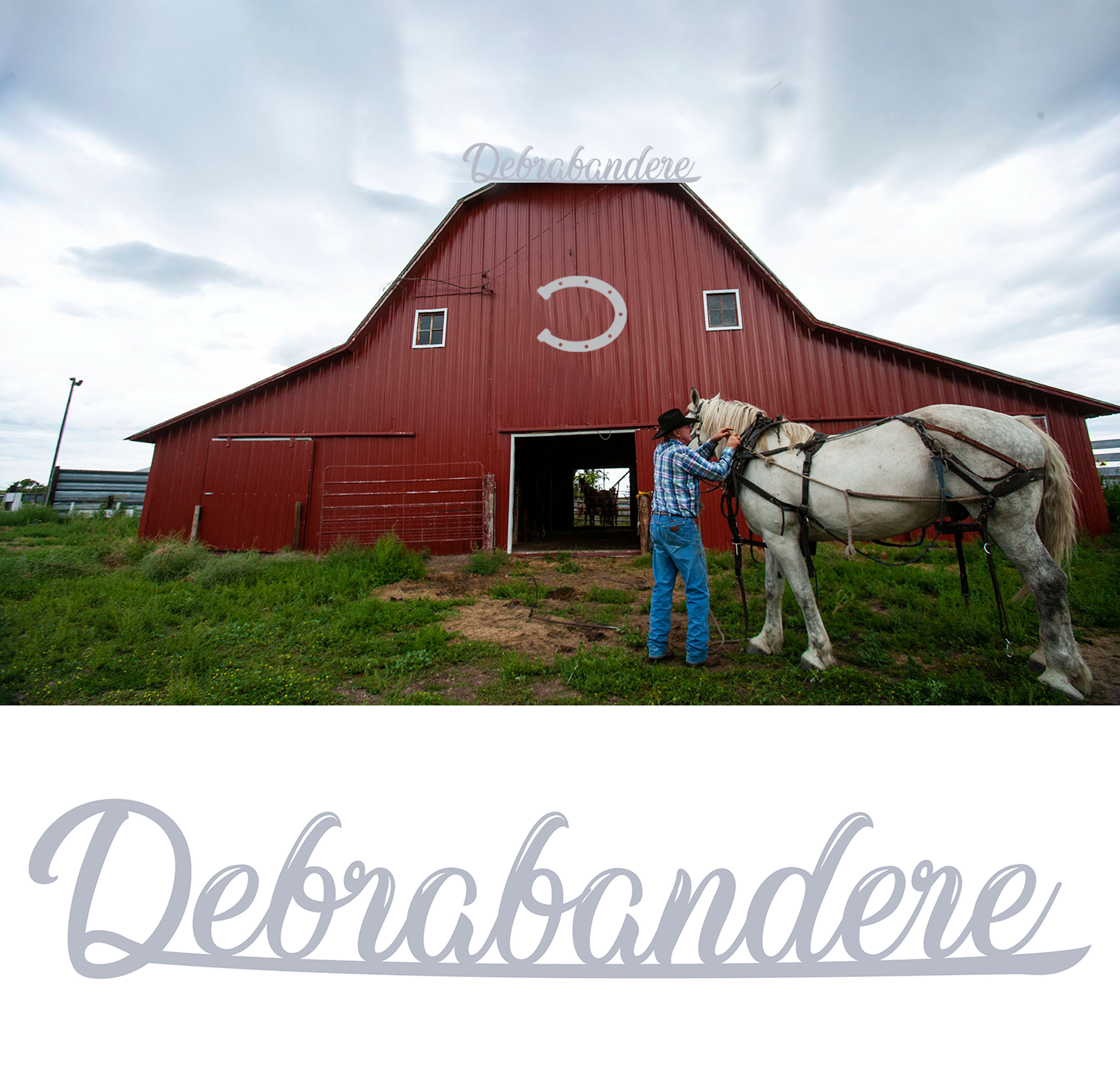 Design de Logo par HAMDIYA pour ce projet | Design #27794768