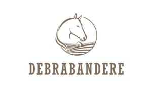 Design de Logo par logoQ pour ce projet | Design : #27772385