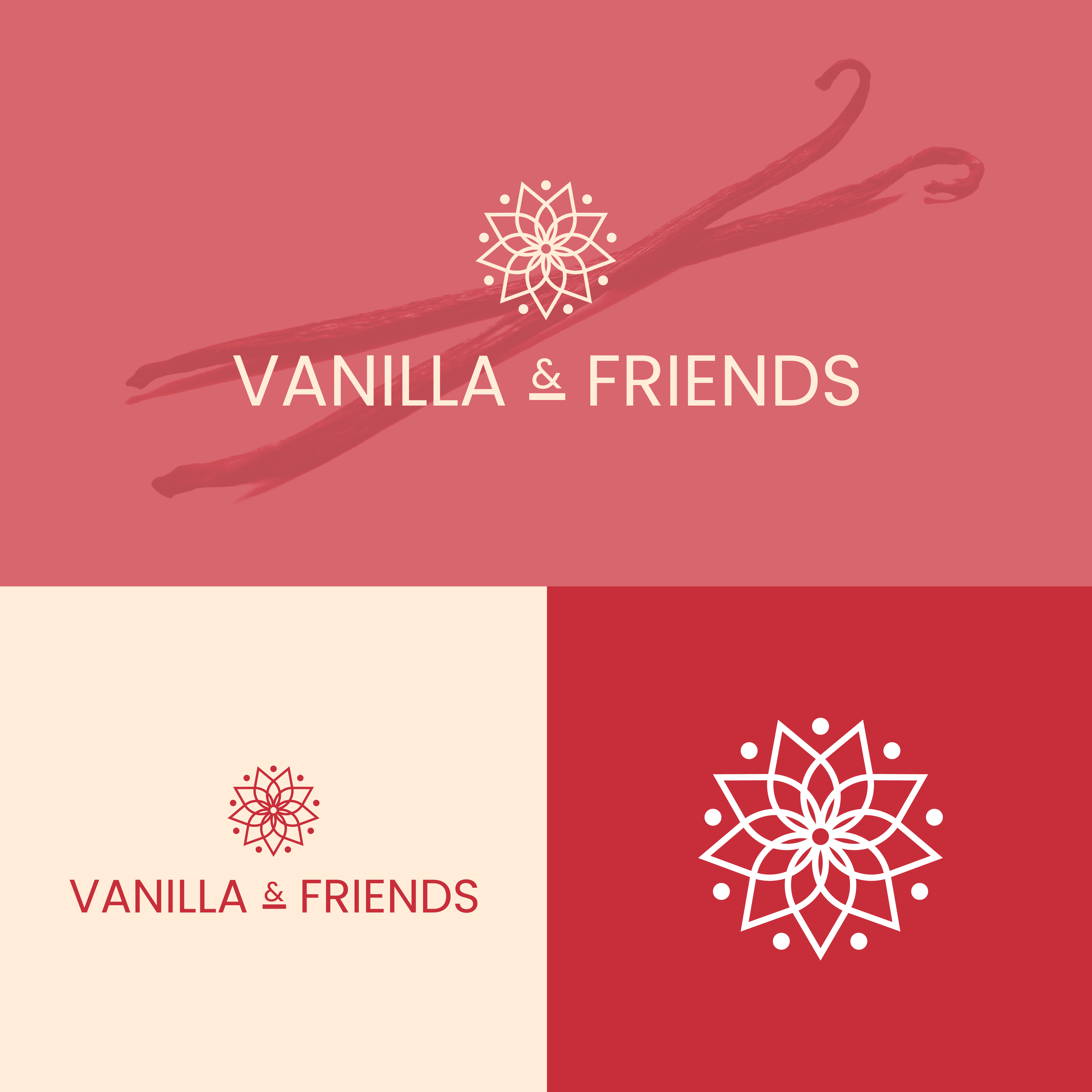 Logo Design by A.R.D.P for Vanilla & Friends | Design #27807383