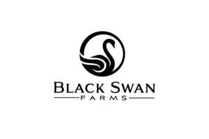 Logo Design by renderman