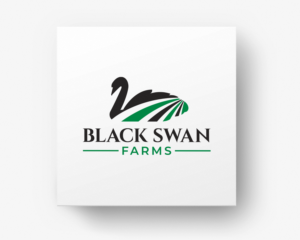 Logo Design by ACK Design