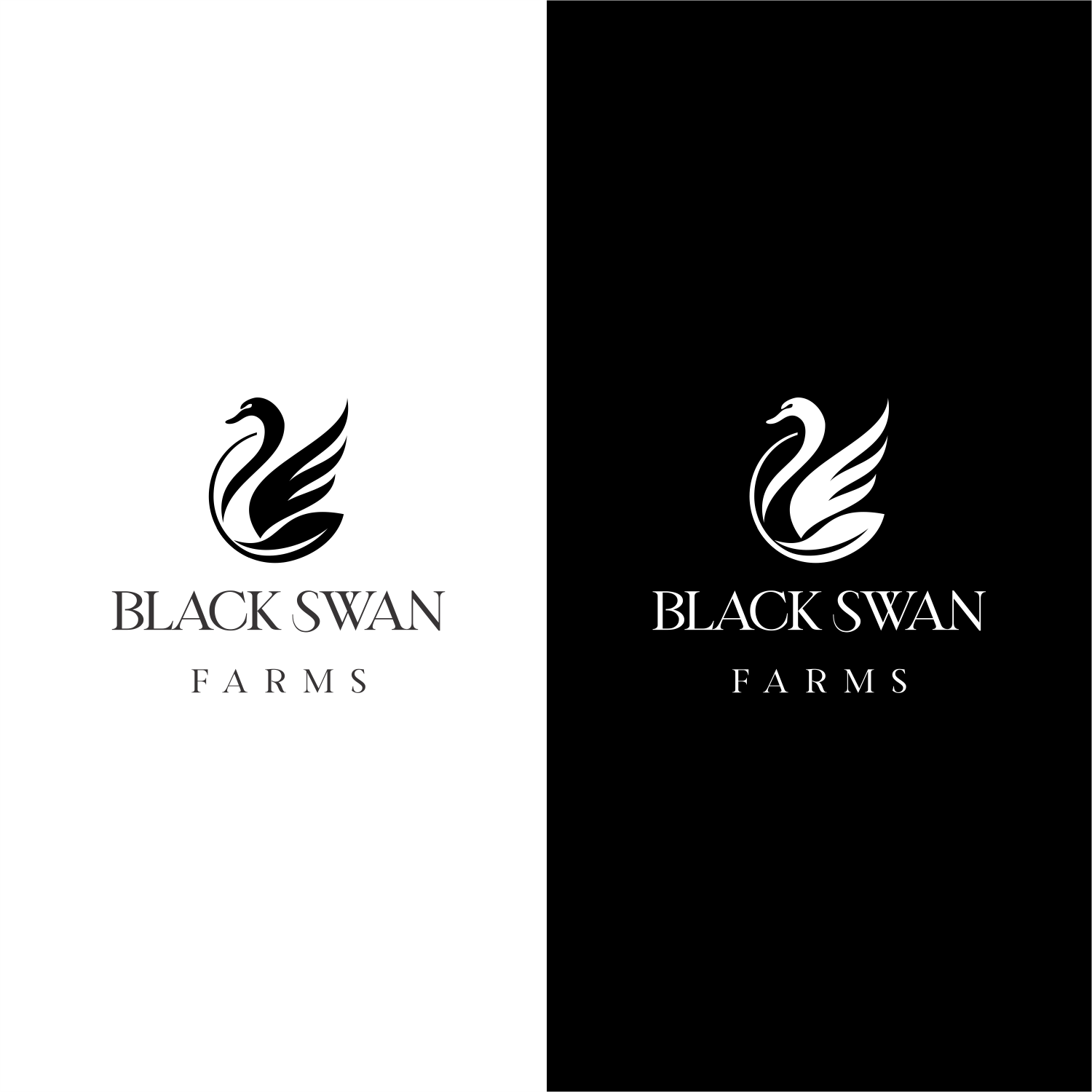 Logo Design by ThiagoB for this project | Design #27772107