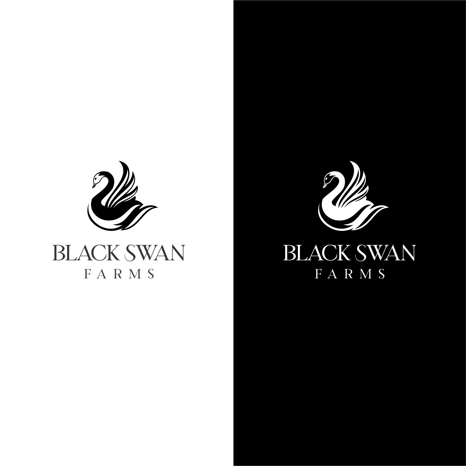 Logo Design by ThiagoB for this project | Design #27772108