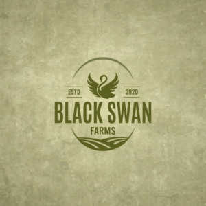 Design de Logo par -:SD:-