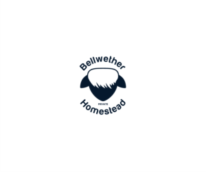 Logo Design by the3kings