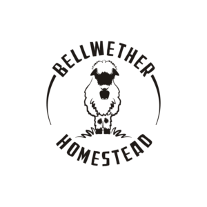 Logo Design by N83touchthesky for this project | Design: #27880132