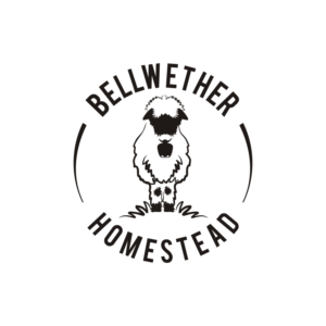 Logo Design by N83touchthesky for this project | Design: #27880138