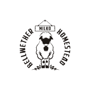 Logo Design by N83touchthesky for this project | Design: #28022631