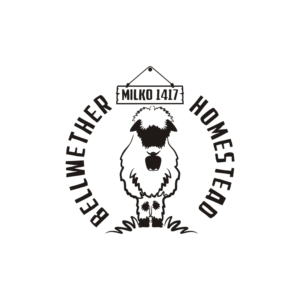 Logo Design by N83touchthesky for this project | Design: #28022633