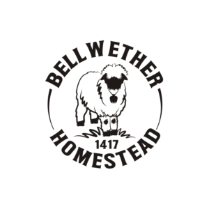 Logo Design by N83touchthesky for this project | Design: #28023267