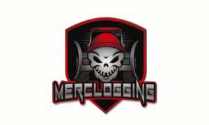 Logo Design by logoQ for this project | Design: #27785486