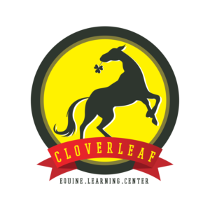 Logo-Design von Qboid Co für dieses Projekt | Design: #27788264