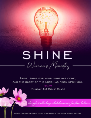 Logo Design by SHADMIN SHAKIB 94 for Connie Owens | Design #27805185