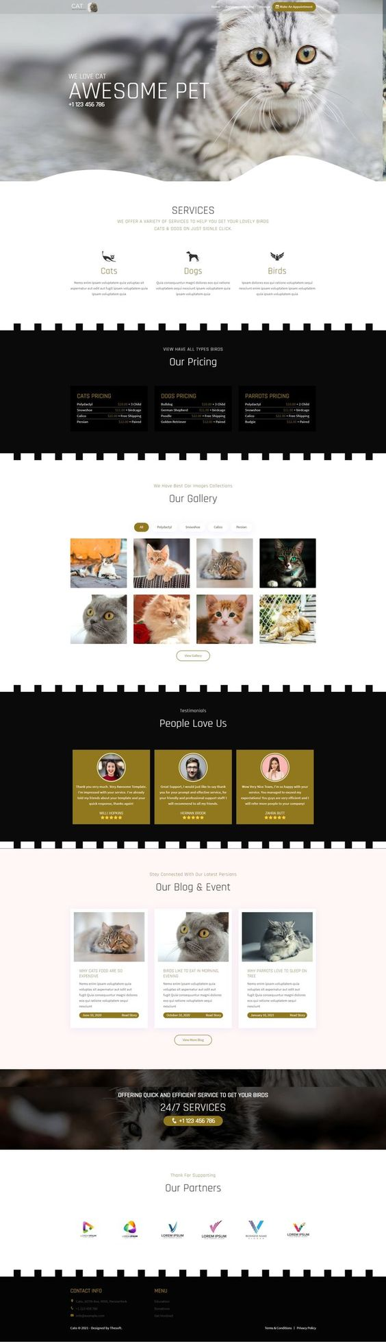 Web Design by Ron.IT for The Cat Granny | Design #27816659