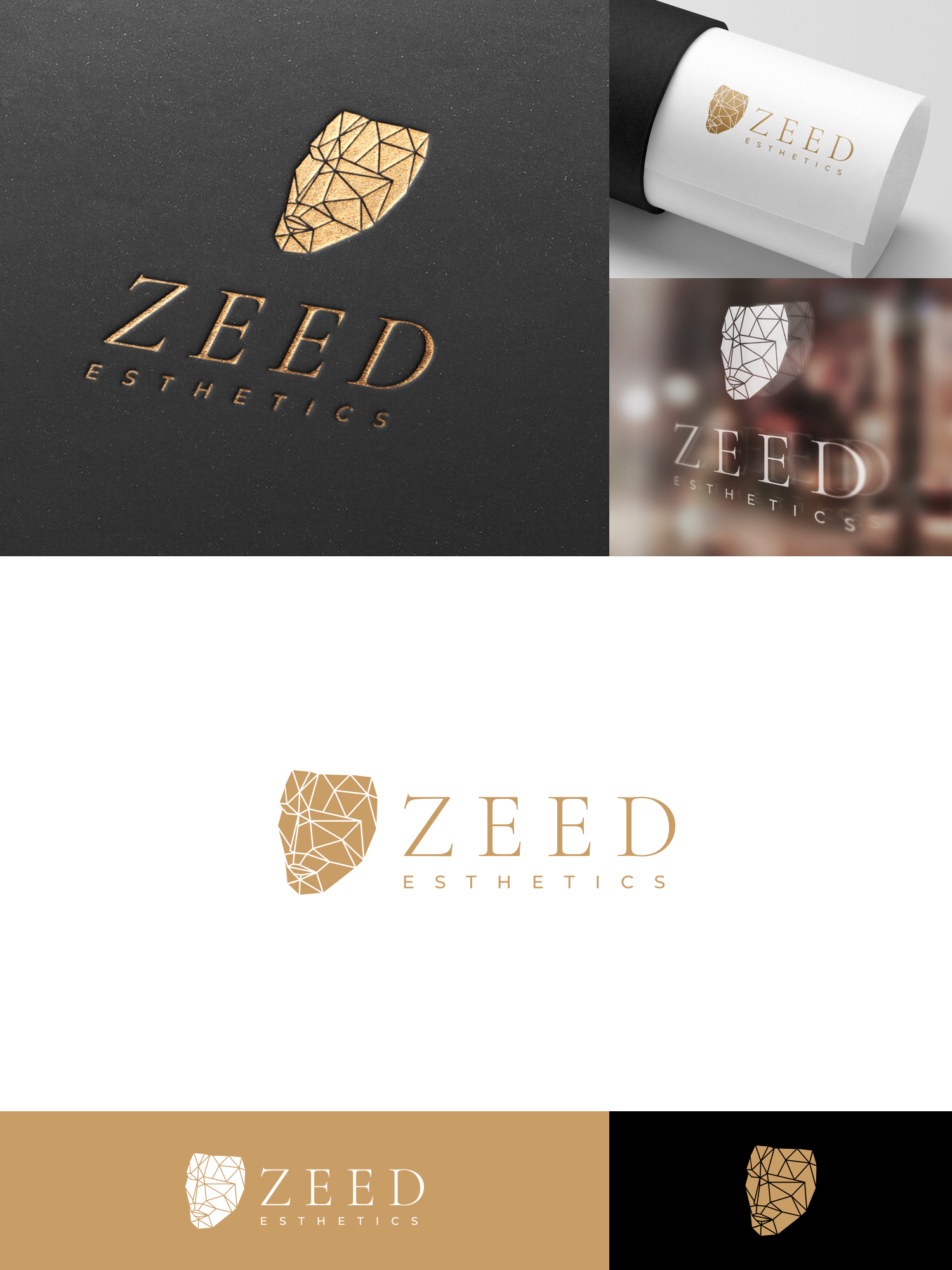 Logo Design by Oleksandr Tovarkov for Bucharest Accomodation & Style SRL | Design #27792487