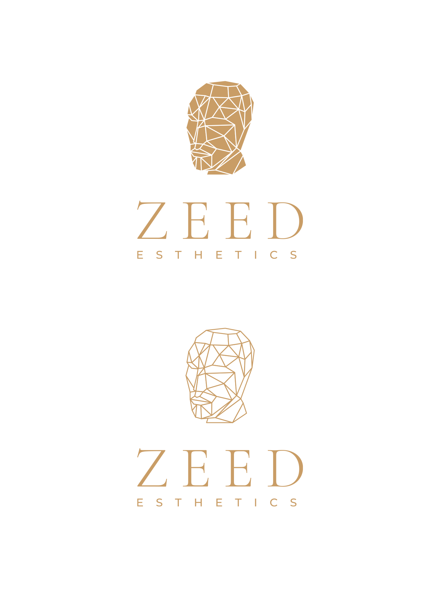 Logo Design by Oleksandr Tovarkov for Bucharest Accomodation & Style SRL | Design #27811140