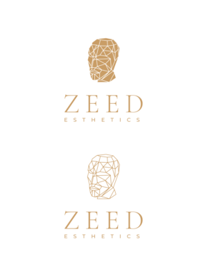 Logo Design by Oleksandr Tovarkov for Bucharest Accomodation & Style SRL | Design: #27811140